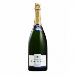 Champagne Castelnau Brut Magnum