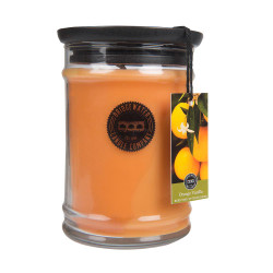 Bridgewater Candle Company - Kerze im Glas gross - Orange Vanilla