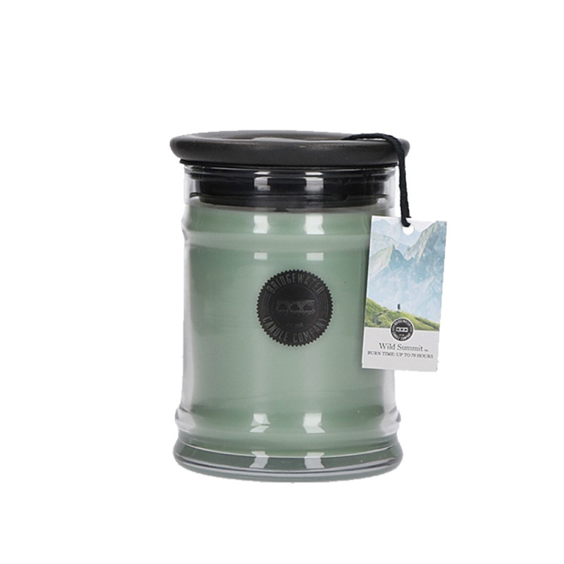 Bridgewater Candle Company - Kerze im Glas klein -  Wild Summi