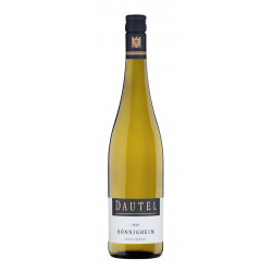 2021 Dautel - Riesling Bönnigheim