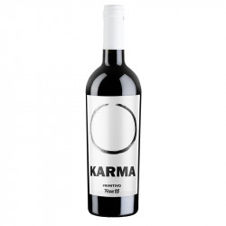 Ferro 13 - Karma - 2020 Primitivo Salento IGT