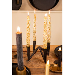 Dinner Candle PInetree - gold