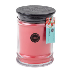 Bridgewater Candle Company - Kerze im Glas gross - Melon Pop