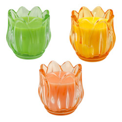 Candle Blossom Set/3